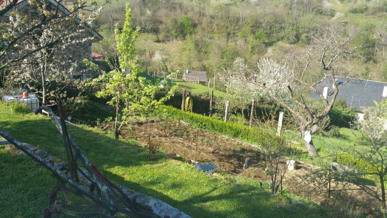 La Pumarada De Limes 2 Βίλα Cangas De Narcea Εξωτερικό φωτογραφία